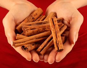 WOMAN HOLDING  CINNAMON STICKS