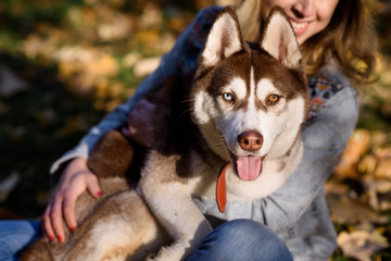 Outdoors lifestyle image of stunning woman hugging husky dog with blue eyes in the park. Wearing stylish outerwear, knitted hat and black fur vest. Playing with the dog on the park. Close-up portrait. © Iulia