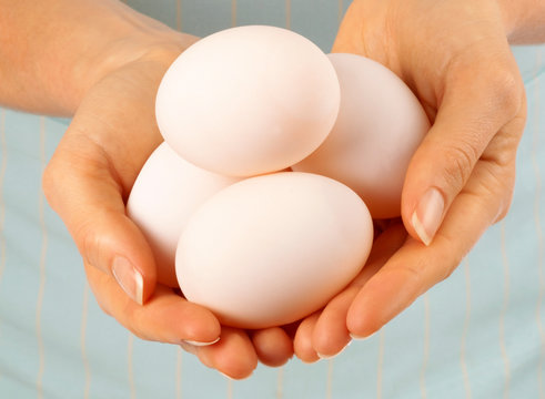 WOMAN HOLDING WHITE EGGS