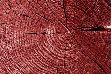 Old log cut macro in red tone.