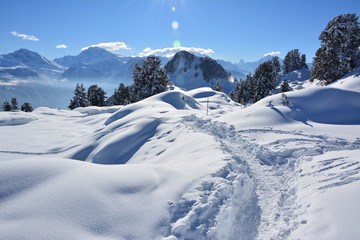 Fototapeta na wymiar Snowy hiking trail with panorama view in switzerland on bettmeralp