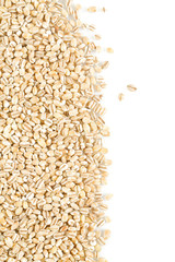 pearl barley isolated on white backrgound