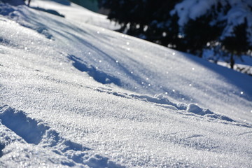 Snowy crystals in the sun