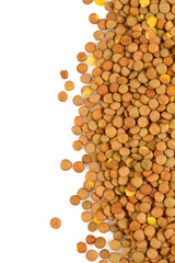 lentils isolated on white