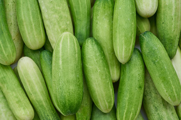 close up cucumber for  background