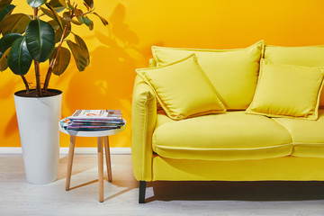 Sofa with pillows, houseplant and little table with journals near yellow wall
