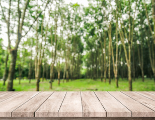 Old wood plank with abstract rubber plantation blurred background for product display