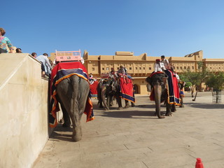 fort amber à jaipur au rajasthan en inde