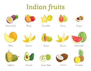 Indian Fruits Set India Food Vector Illustration