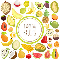 Tropical Fruits Exotic Meal Avocado Durian Vector