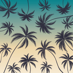 Coconut palm trees on colorful background. Beautiful palm trees.