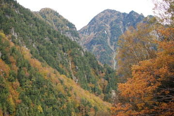 Natural landscape view of the autumn red-orange-green color forest on the mountain