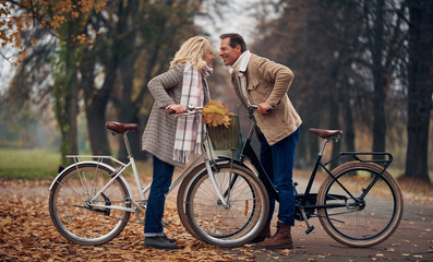 Fototapeta na wymiar Senior couple in park in autumn