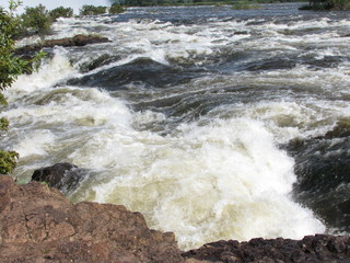 Afrika Tiere Natur