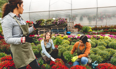Florist in flower field