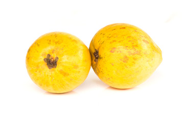 Pouteria campechiana (Kunth) Baehni or Canistel fruit on white background