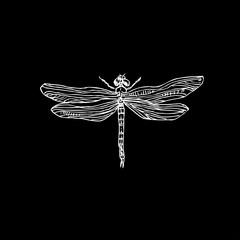 Obraz premium 곤충 일러스트 / 손으로 그린 곤충 스케치