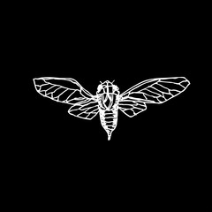 곤충 일러스트 / 손으로 그린 곤충 스케치