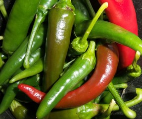 Chilli hot peppers