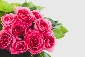 ピンクのバラ　レトロ調