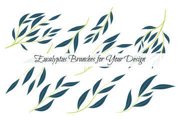 Eucalyptus Vector. Decorative Vector Leaves and Branches. Elegant Foliage. Beautiful Floral Element for Wedding Design. Tropical Plants. Eucalyptus Vector for Card, Invitation, Pattern, Print, Wreath.