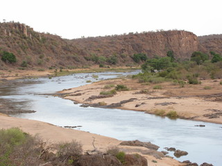 Afrika Tiere Natur