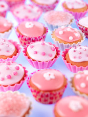 CUPCAKES FAIRY CAKES