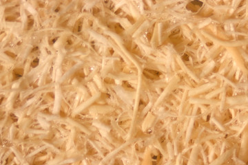Background Oil palm fiber, Close up Oil palm fiber under the microscope for Chemical analysis in...