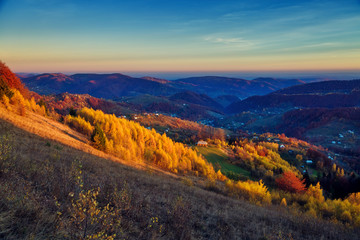 Majestic vivid birches in sunny beams at mountain valley.