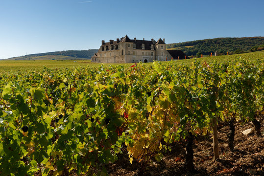 ch&acirc;teau du Clos de Vougeot