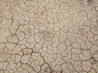 Dry land.  Top view of dry cracked dirt background and blank space for your work.  