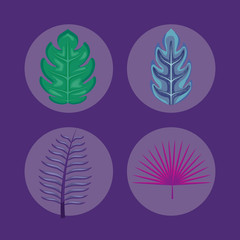 Fototapeta na wymiar set of tropical leafs icons