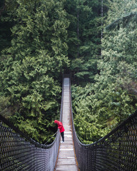 Suspension Bridge Loneliness