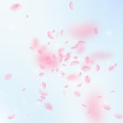 Sakura petals falling down. Romantic pink flowers 