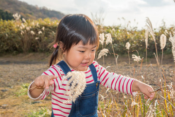 ススキで遊ぶ子供