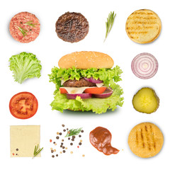 Ingredients for making burger and hamburger