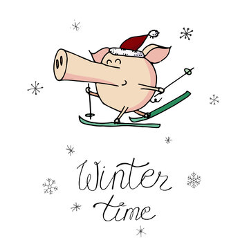 Cute doodle christmas skiing piggy in santa hat. Symbol of 2019 year. Winter holidays. Christmas and new year calligraphy. Hand written modern brush lettering. Hand drawn design elements. Festive card