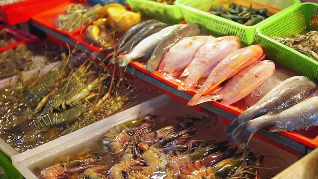 Fresh sea fish, shrimps, spiny lobsters, shellfish on the counter at seafood market in Asia