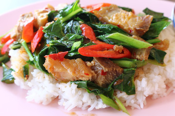 Rice topped with stir-fried pork and basil