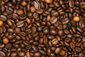 Closeup of lot of whole dark brown coffee beans sweet arabica variety flatlay isolated