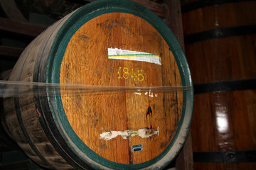 wine barrels in cellar