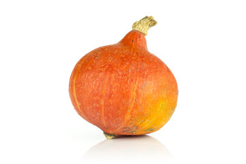 One whole bright fresh red kuri pumpkin hokkaido variety isolated on white background