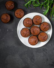 cupcakes chocolate (chocolate muffins) dessert with with pomegranate and rosemary. top view.