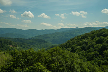 mountains covered with forest, blue sky with clouds. nature, landscape.