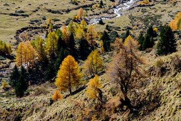 Panorama autunnale della val Grande