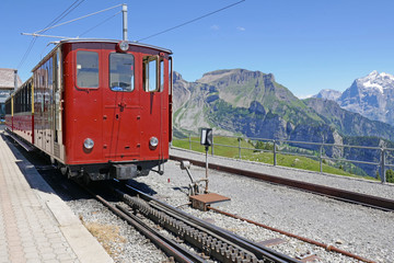 schynige platte, berner alpen, schweiz 