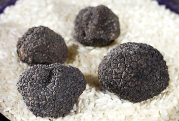 Black Truffles in rice.