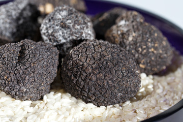 Black Truffles in rice.