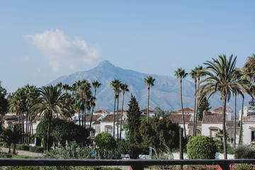 The panoramic view of the coast of Marbella's Golden Mile. Marbella. Andalusia. Costa del Sol.. sapin