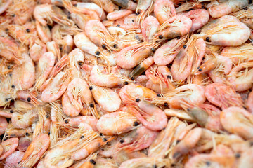 Close-up of boiled shrimps as a background